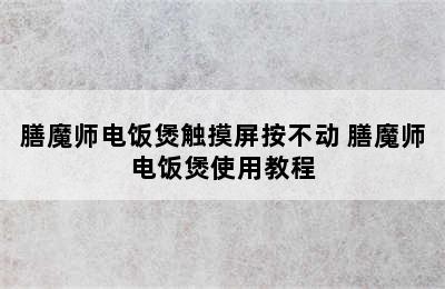 膳魔师电饭煲触摸屏按不动 膳魔师电饭煲使用教程